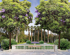 Ζήσε τον Κήπο... αλλιώς!