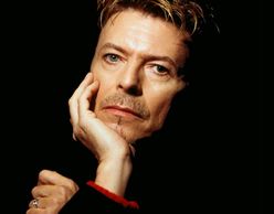 David Bowie week | A tribute