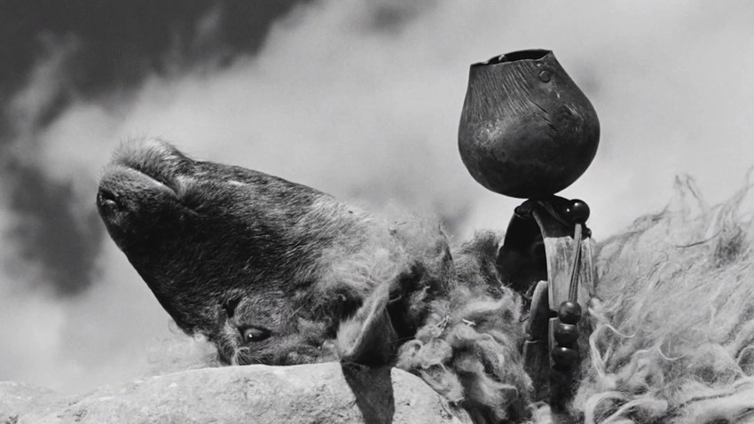 Σινεμά με τον Φρόυντ | Οι βοσκοί του Νίκου Παπατάκη