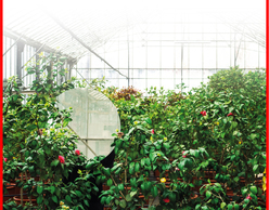 Κυριακές σαν γιορτή στο Γεωπονικό Πανεπιστήμιο