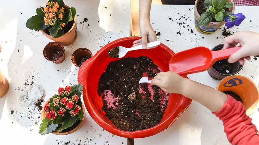 «Μικροί Κηπουροί με πινέλα» | Υπαίθριο εργαστήριο
