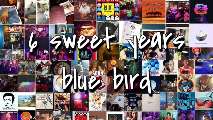 Happy Birthday Bluebird!