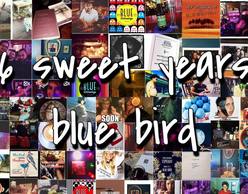 Happy Birthday Bluebird!