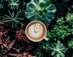 Coffeeholics paradise :: το Athens Coffee Festival επιστρέφει!