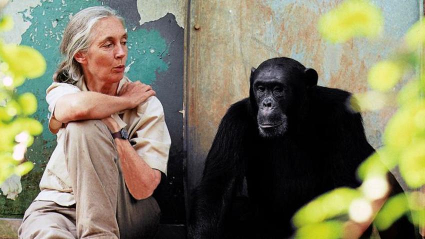 Λόγοι για να ελπίζουμε: Ένα απόγευμα με τη Dr Jane Goodall