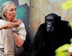 Λόγοι για να ελπίζουμε: Ένα απόγευμα με τη Dr Jane Goodall
