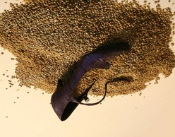 Η Σταχτοπούτα απόψε ΔΕΝ! // Performance