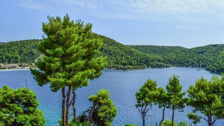 Ευρωπαική Ημέρα Natura στο Ίδρυμα Σταύρος Νιάρχος