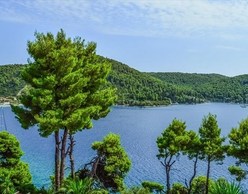 Ευρωπαική Ημέρα Natura στο Ίδρυμα Σταύρος Νιάρχος