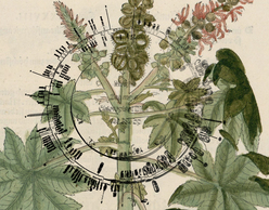 Botanic Fictions | Η κατάσταση του κόσμου μέσα από τα φυτά