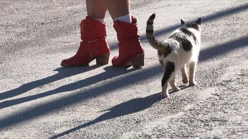 «Ο Δημητράκης και η Δημητρούλα» στο Γεράνι