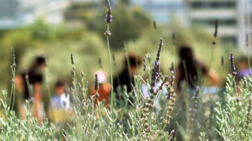 Θεατρικό - Μουσικό Παιχνίδι στο ΚΠΙΣΝ: Ένα σαλιγκάρι στον Μεσογειακό Κήπο