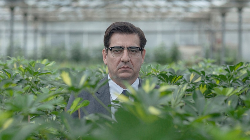 Οίκτος (2018), του Μπάμπη Μακρίδη