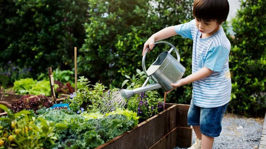 e-Nature:: Φέρνουμε τη φύση στο μπαλκόνι μας! | Εκπαιδευτική δραστηριότητα από το Μουσείο Γουλανδρή 