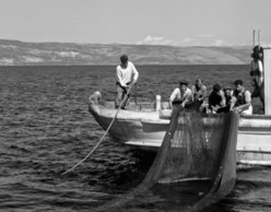 ΨΑΡΑΔΕΣ ΚΑΙ ΨΑΡΕΜΑΤΑ του Λ. Λοΐσιου & ΚΟΙΝΩΝΙΚΗ ΣΑΠΙΛΑ του Στ. Τατασόπουλου