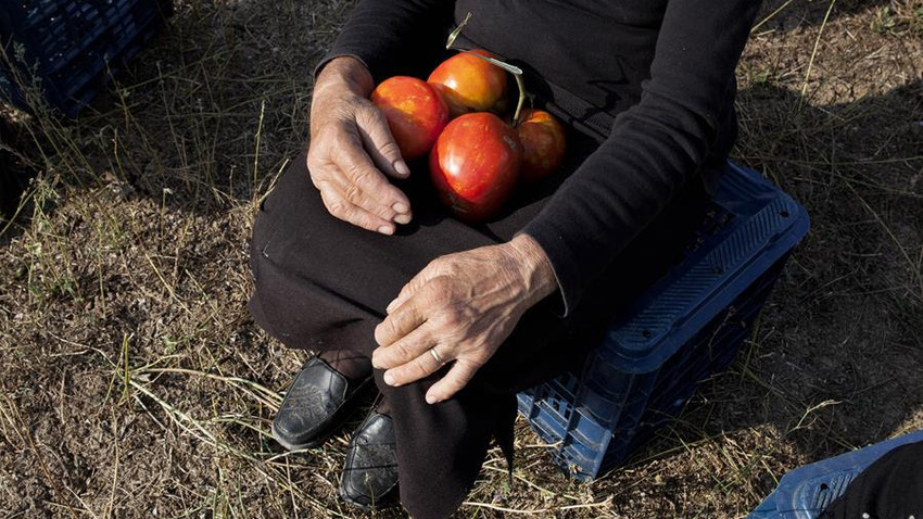 Bladder Diplomacy του Ziad Antar