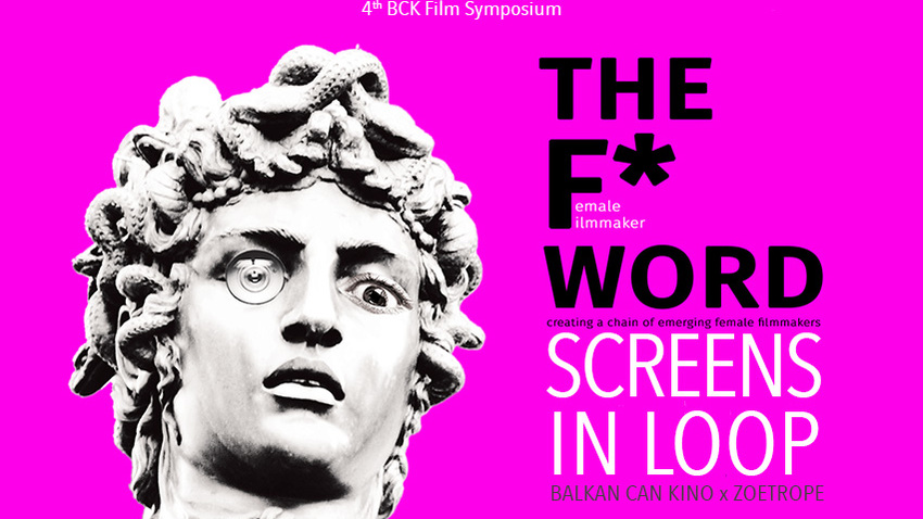 The F* Word: SCREENS IN LOOP