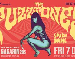 Οι Fuzztones στο Gagarin 205 | opening act: Sparn Dame