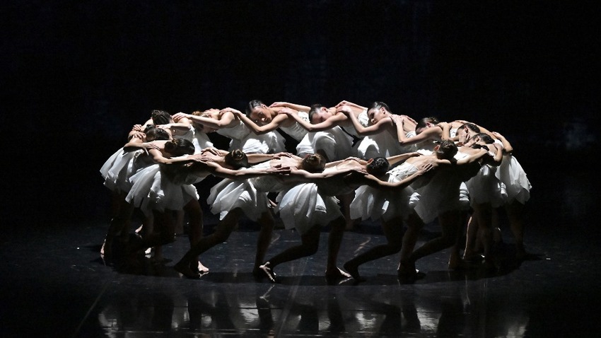 Ballets Preljocaj | Η λίμνη των κύκνων
