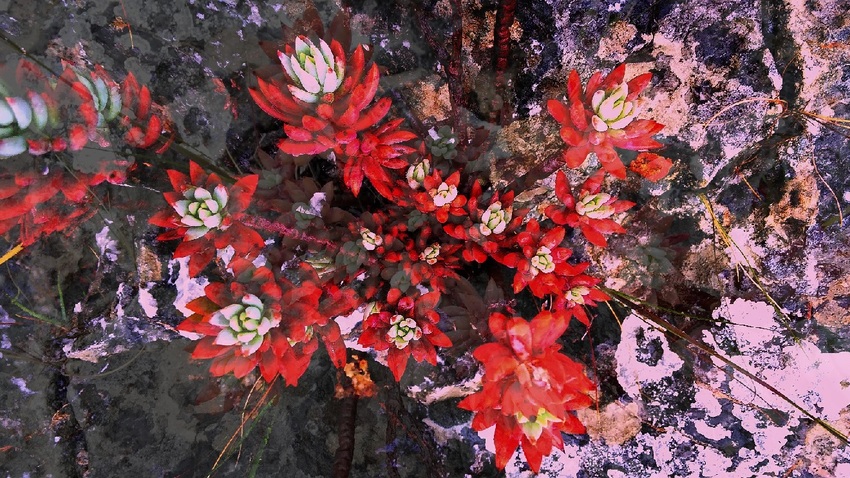 Agile Experiments: instant compositions for vision, sound & movement