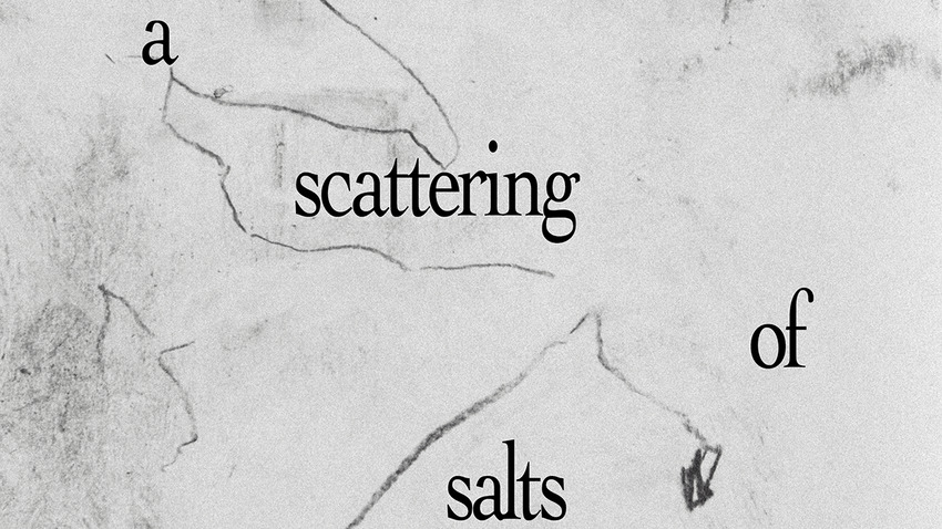 Ομαδική έκθεση "A Scattering of Salts"