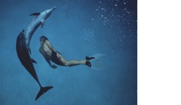 Dolphin Boy