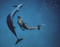 Dolphin Boy