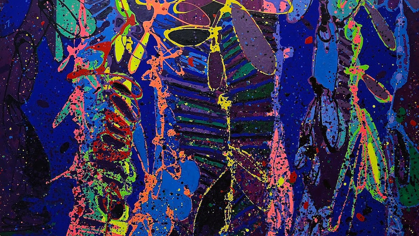 PETER REGINATO | CHROMA