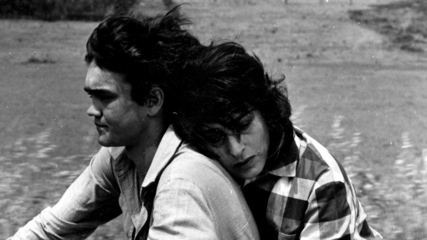 Mamma Roma | Cycladic screening στο πάρκο Ελευθερίας