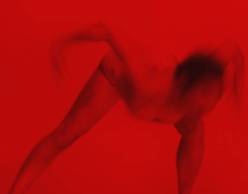 Theodore | Fire Tour 