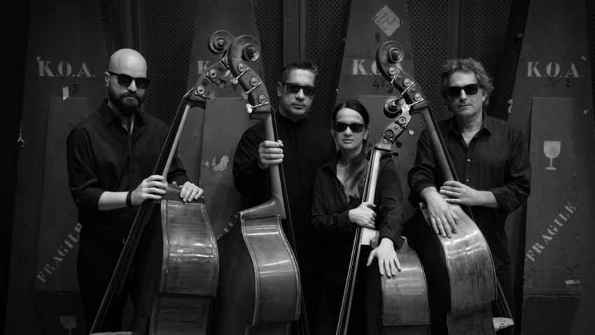 «Bass-Euphoria: Μουσική του υποκόσμου»