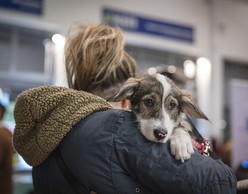 Together We Paw Festival