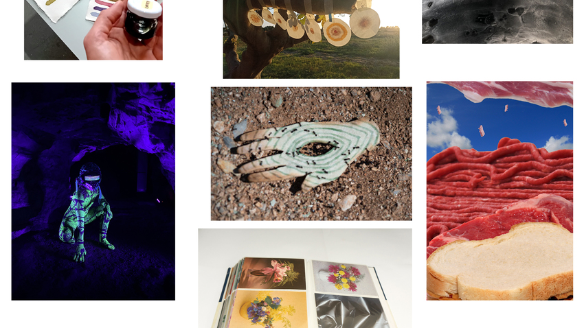 “Fragments, A Salon of Curiosities” 