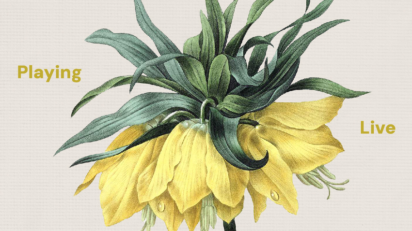 As Never Before | Myrsini Kalle