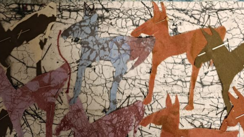 Έκθεση «ΑΦΗγήματα» | Η ΑΦΗcollective στη Γεννάδειο Βιβλιοθήκη»