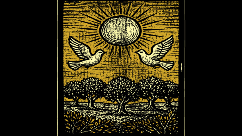 Jan Van Αγγελόπουλος & Φώτης Σιώτας | Μεταπαραδοσιακή ζυγιά 