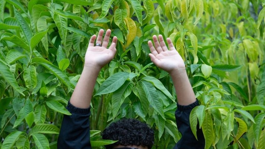  Ομαδική Φωτογραφική Έκθεση Παιδιών και Εφήβων | «Αποτυπώνοντας τα δικαιώματά τους»