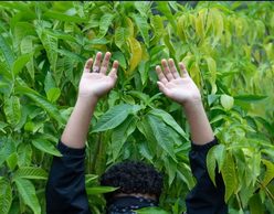  Ομαδική Φωτογραφική Έκθεση Παιδιών και Εφήβων | «Αποτυπώνοντας τα δικαιώματά τους»