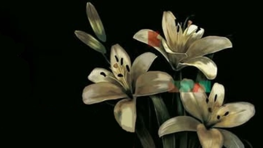 Αφιέρωμα στα Διάφανα Κρίνα | από τους Άγριο Μέλι (Διάφανα Κρίνα - "Τribute Band'')‍