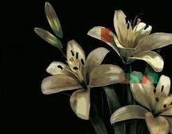 Αφιέρωμα στα Διάφανα Κρίνα | από τους Άγριο Μέλι (Διάφανα Κρίνα - "Τribute Band'')‍