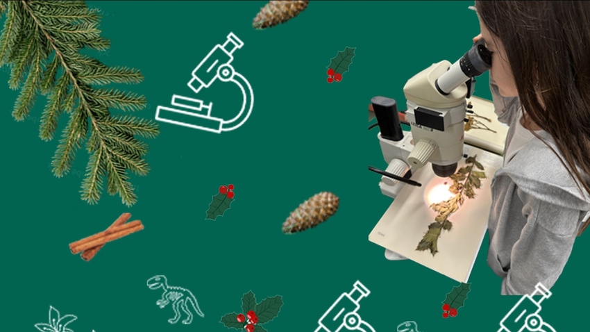 Το Εθνικό Μουσείο Φυσικής Ιστορίας στο Athens Science Festival 2025