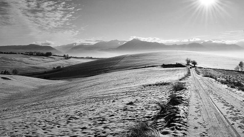 Θεματική έκθεση φωτογραφίας |  White