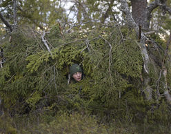 Avant-première του ντοκιμαντέρ «Το Τραγούδι του δάσους», του Vincent Munier 