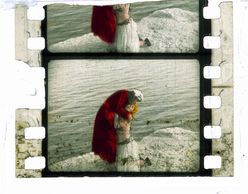 «Εικόνες από την Ελλάδα του 20 ου αιώνα» του Θ. Αδαμόπουλου