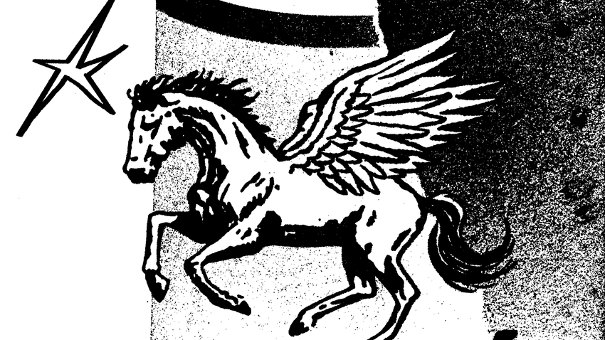 The Bonnie Nettles Live | w/ Bhukhurah + Bipolia