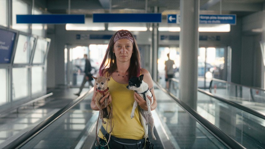 ΑΔΕΣΠΟΤΑ ΚΟΡΜΙΑ | Ελίνα Ψύκου