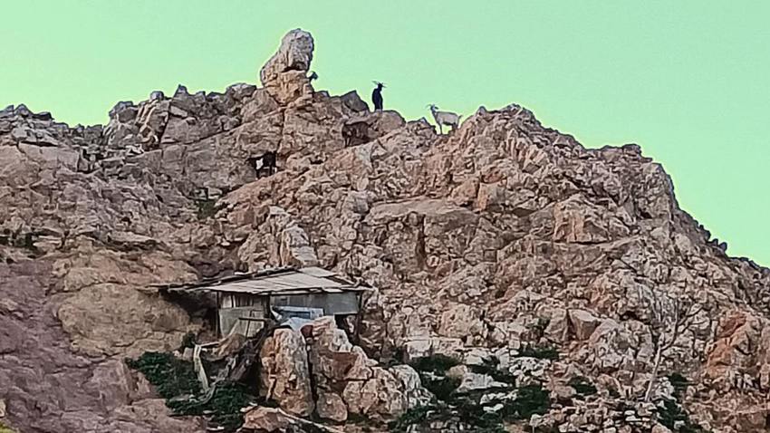 Daniele De Santis & Dario Papavassiliou