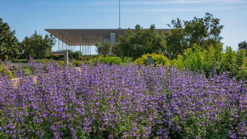 Πρωτομαγιά στο πάρκο του ΚΠΙΣΝ