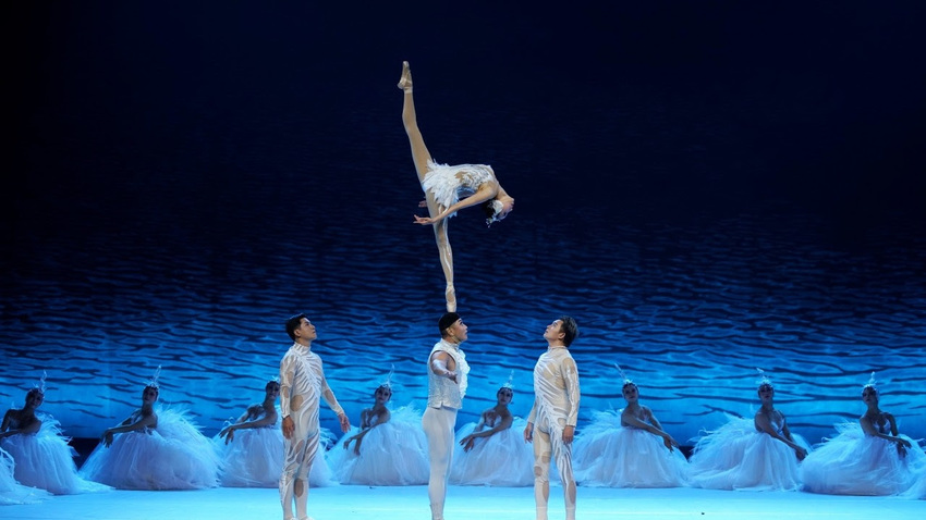 SWAN | Acrobatic dance drama