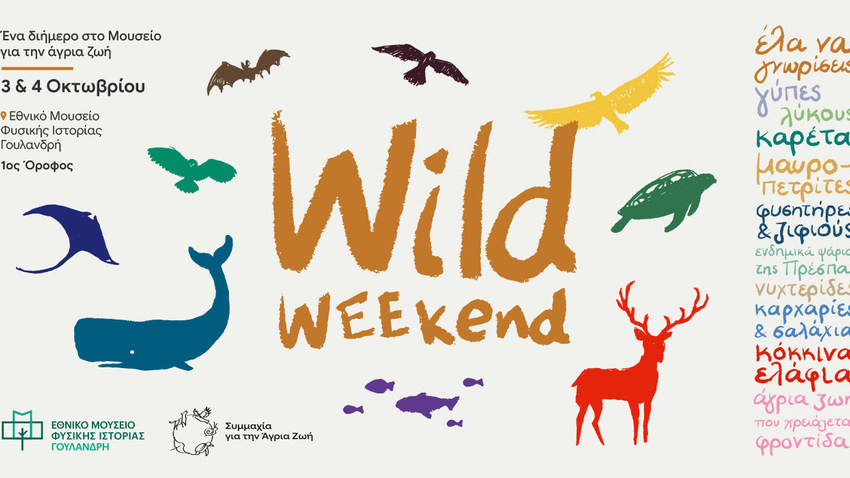 Wild Weekend | Ένα Σαββατοκύριακο γνωριμίας με την Άγρια Ζωή της Ελλάδας 